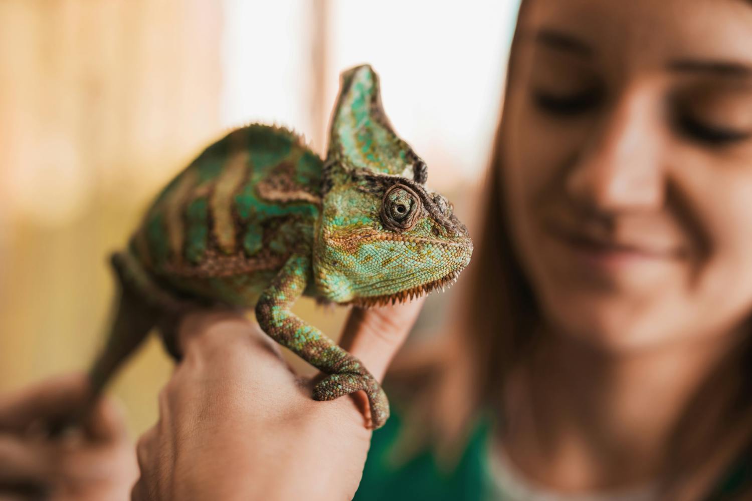Herpétophobie : comment vaincre la peur panique des reptiles ?