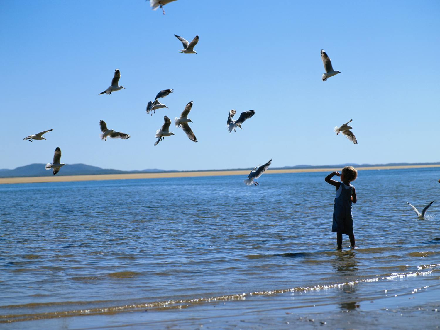 Pourquoi certaines personnes ont-elles peur des oiseaux ?