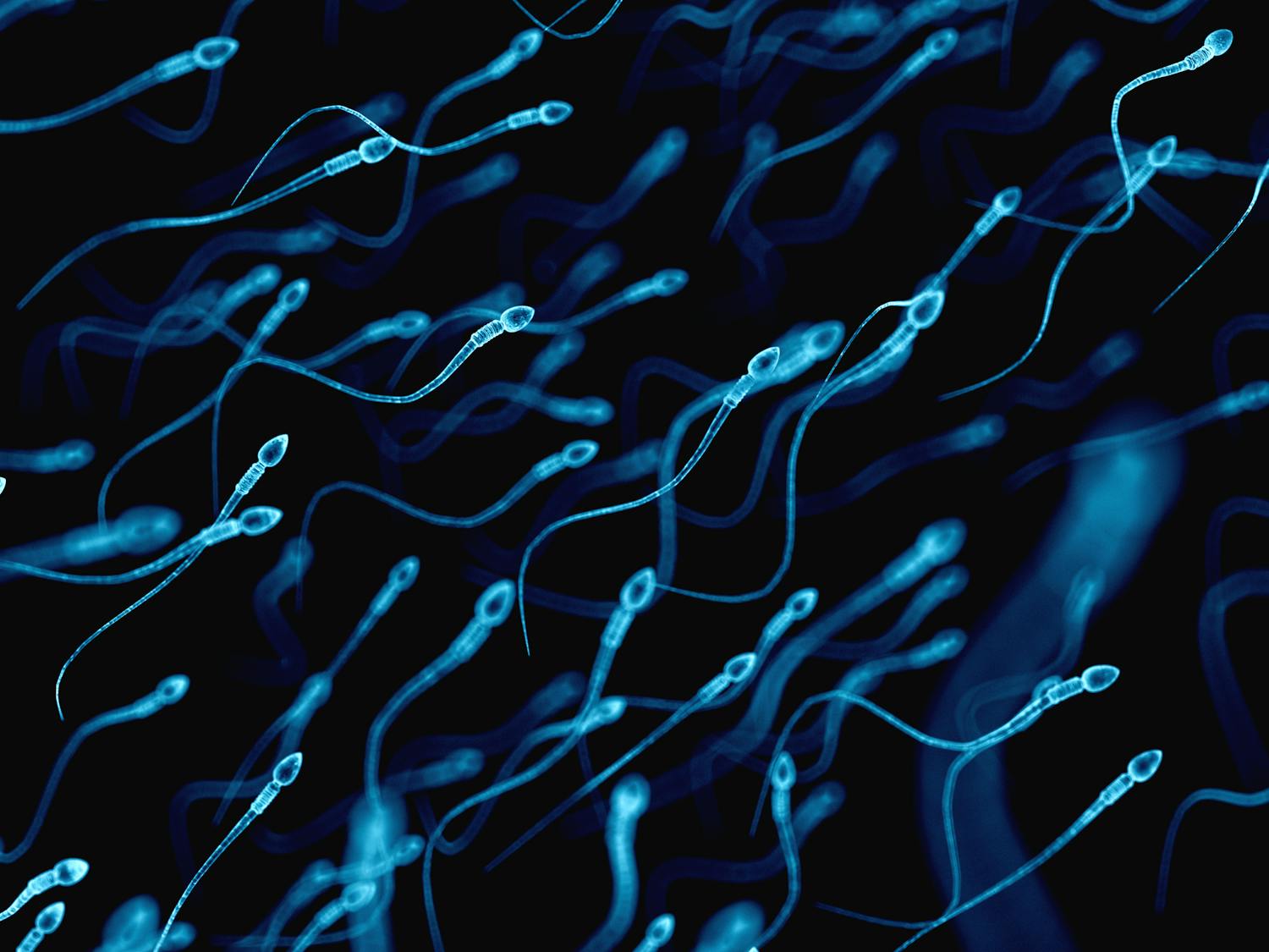 Comment augmenter sa production de spermatozoïdes ?